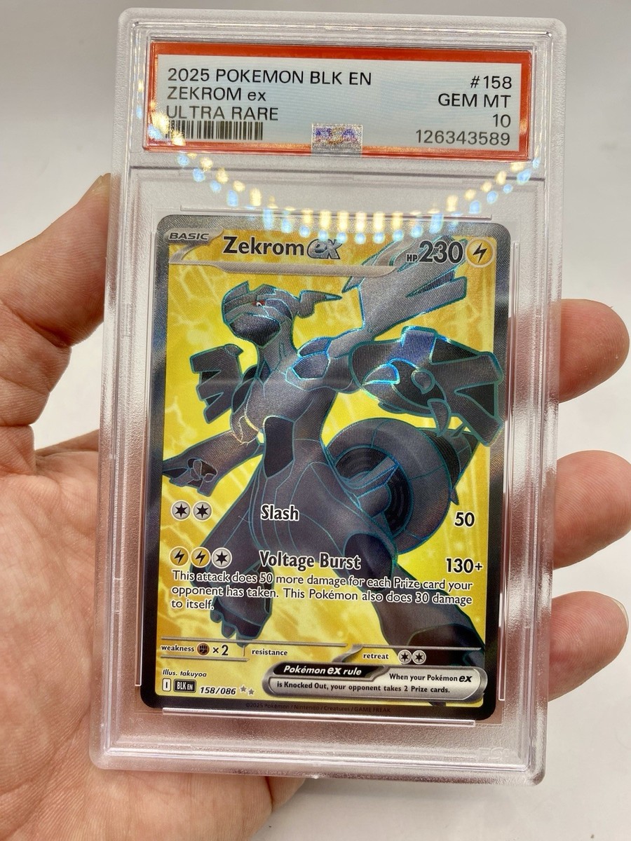 2025 POKEMON BLK EN ZEKROM ex ULTRA RARE #158 PSA 10 GEM MINT