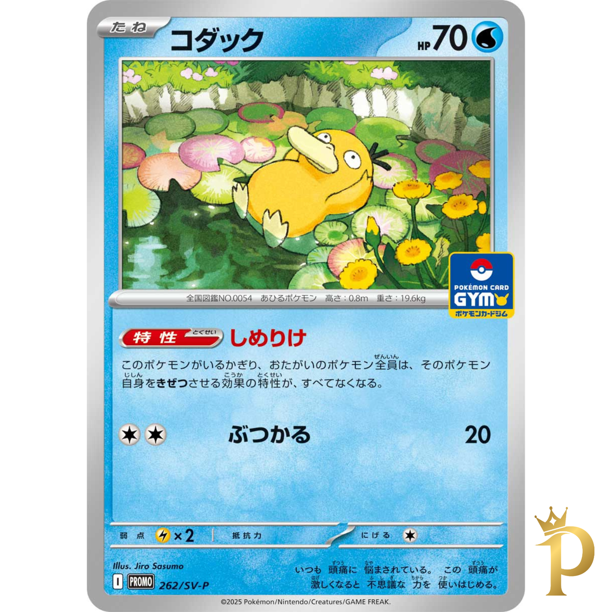 Psyduck 262/SV-P Gym Promo Pokemon Card Japanese Scarlet & Violet
