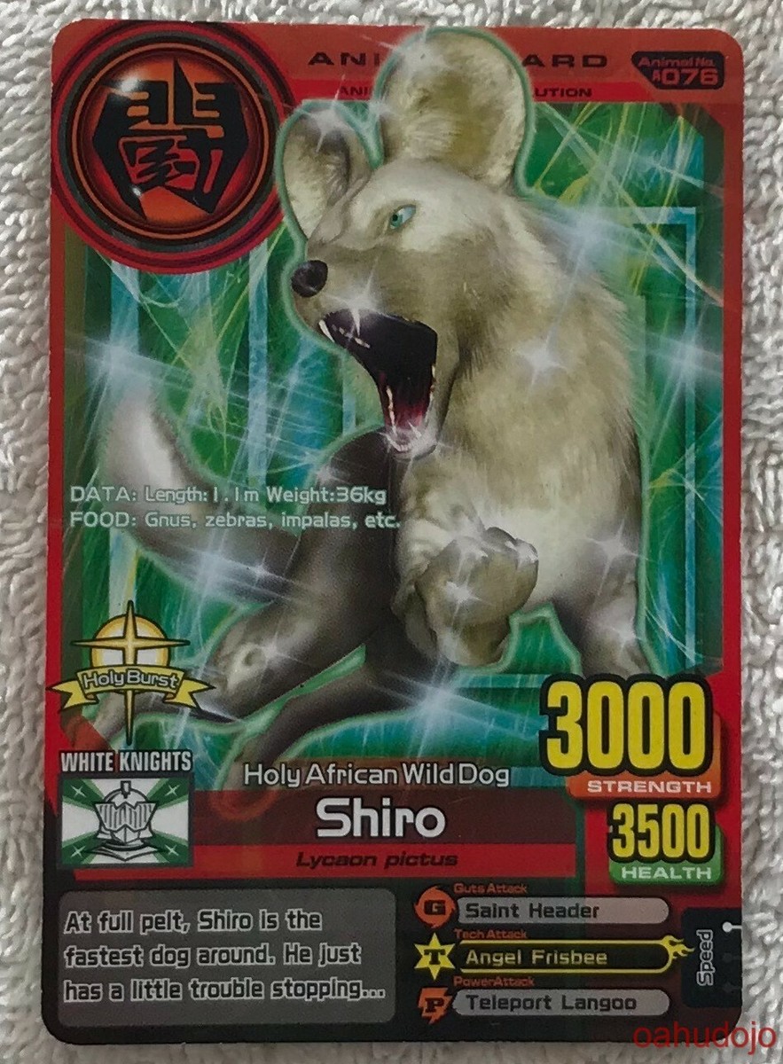2007 2008 NAMCO BANDAI Animal Kaiser SHIRO #A-076 EVO 8DX White