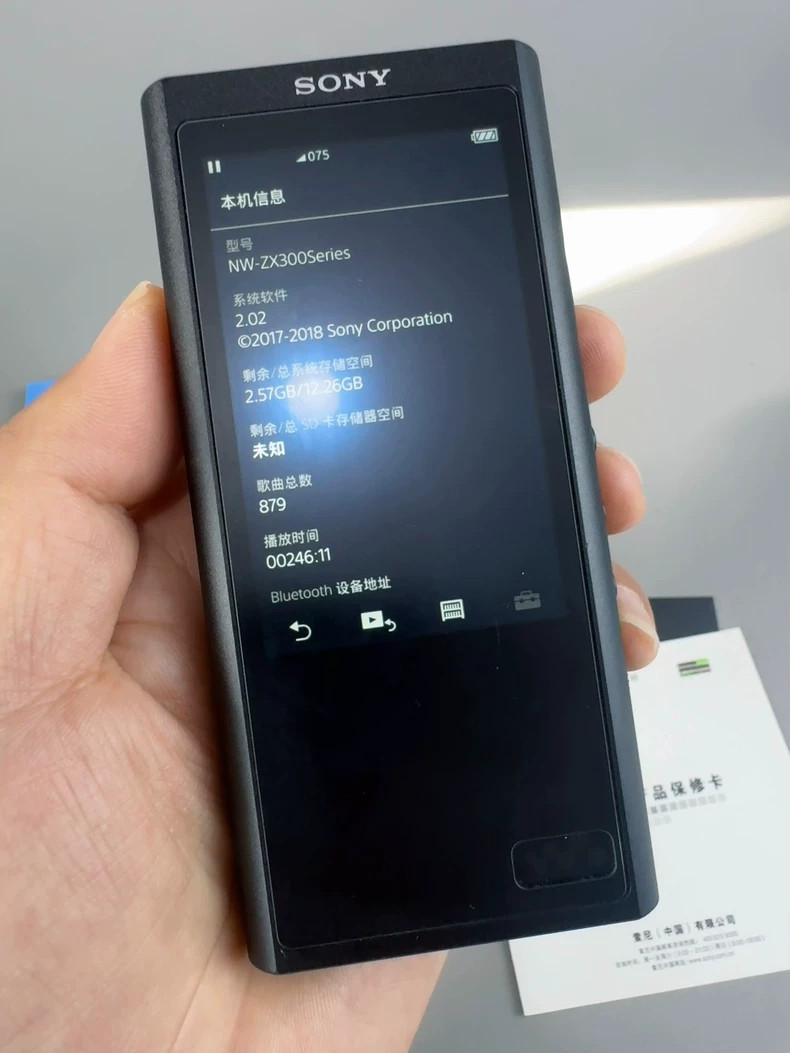 Sony Walkman ZX Series NW-ZX300 Hi-Res Digital Audio Player | eBay