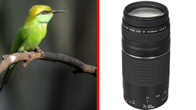 NEW Canon EF 75-300mm f/4-5.6 III USM Zoom pictures Ultrasonic