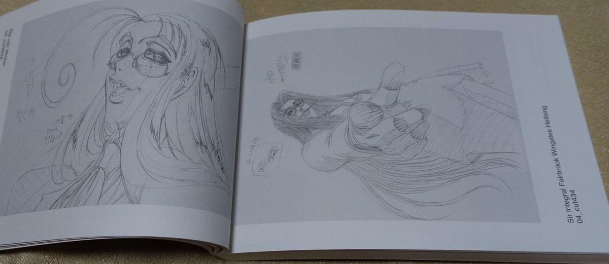 RYOJI NAKAMORI WORKS 2007-2009 HELLSING 4-6 Key Frame art