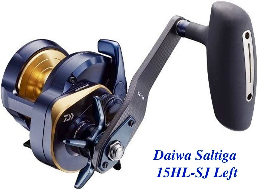 Daiwa 22 SALTIGA 15HL-SJ Left Handle 7.1 Ship from Japan | eBay