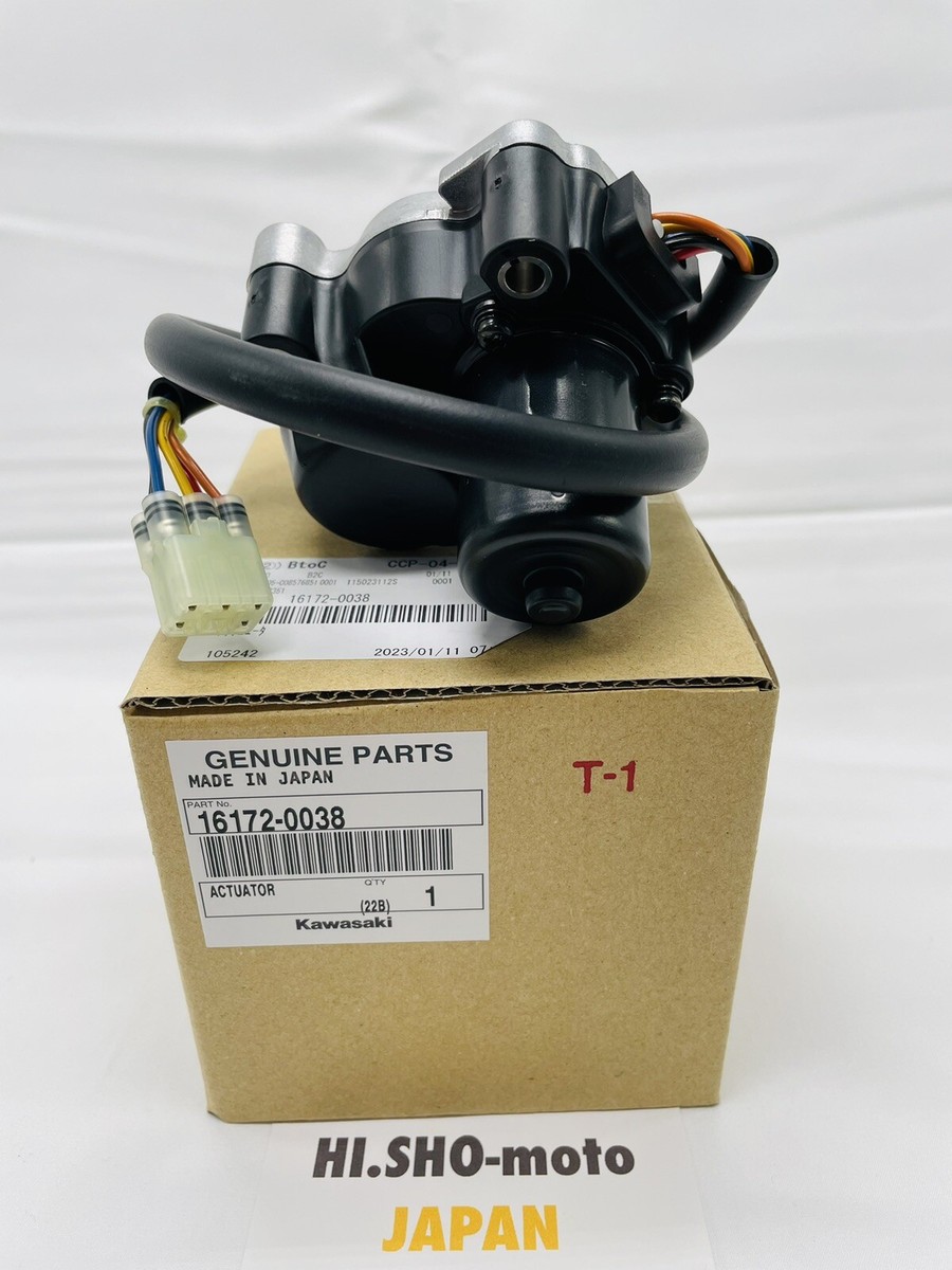 2012-2022 Kawasaki Teryx/Teryx4 Actuator | 16172-0038 | KAWASAKI