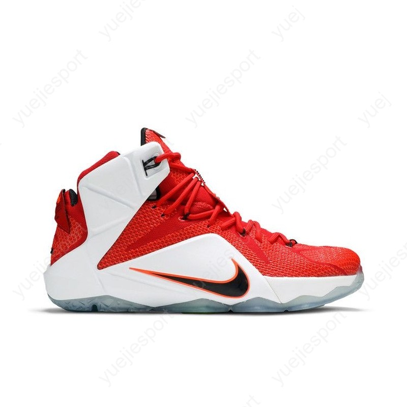 Nike Lebron 12 Heart Of A Lion 684593-601 | eBay