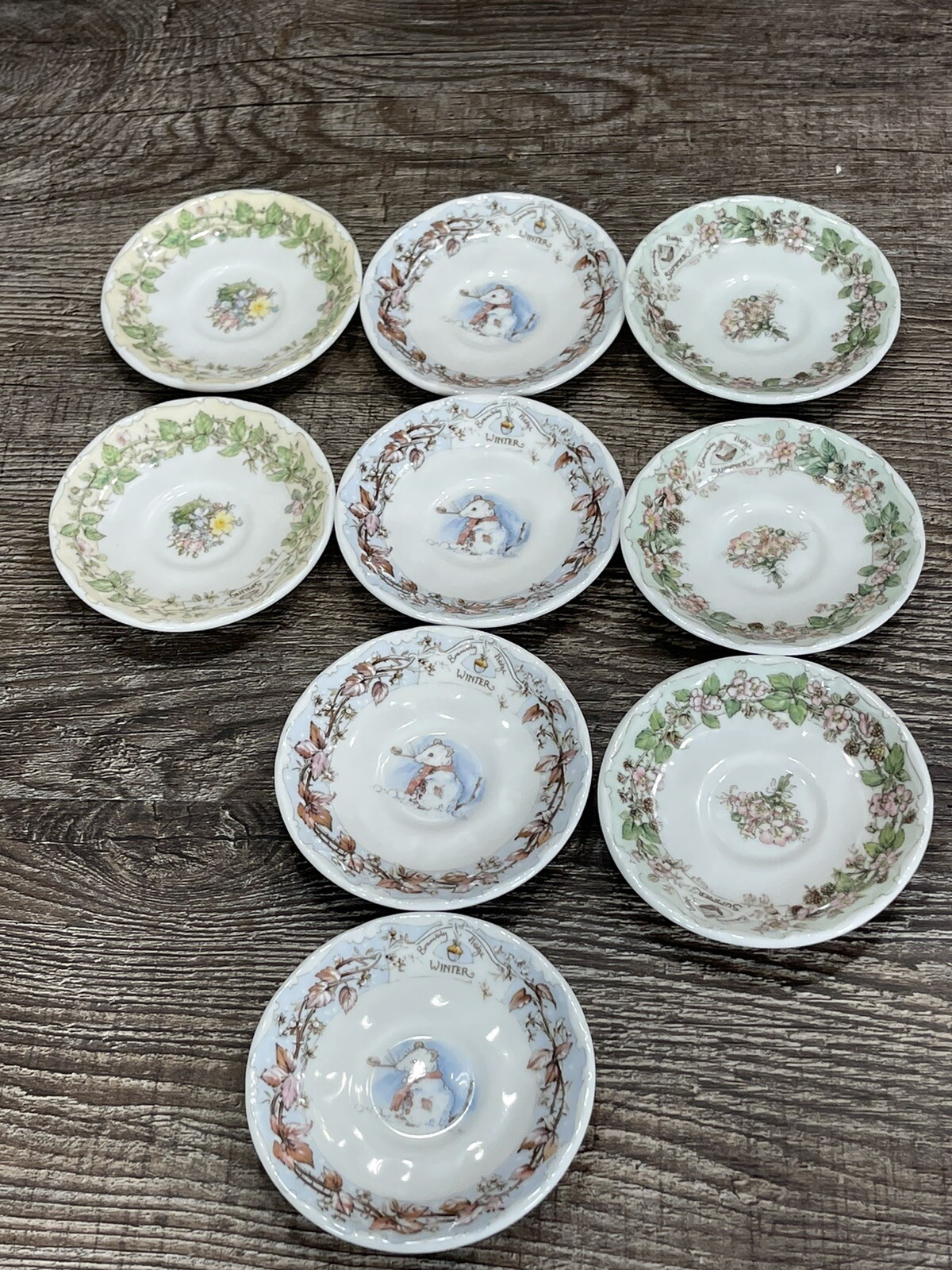 ブランブリーヘッジ 'WARD BOUND' 20㎝ プレート ブランブリーヘッジ