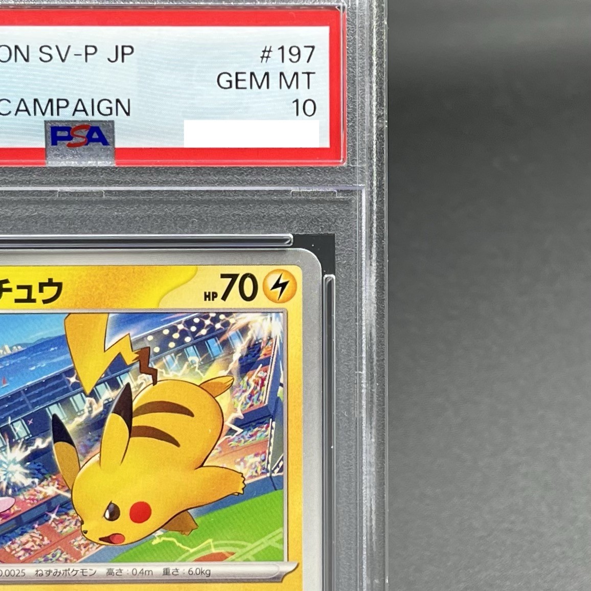 PSA 10 Pikachu 197/SV-P Gym Event WCS 2024 Promo Pokemon Card