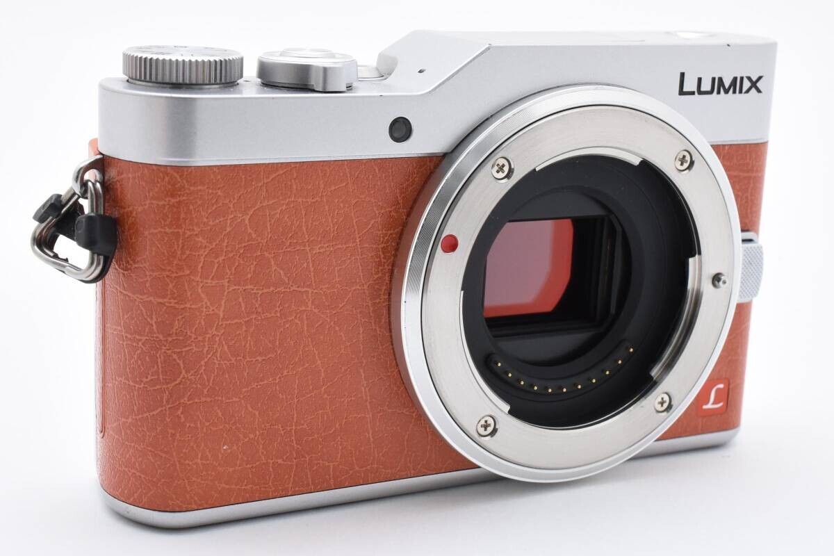 Panasonic LUMIX DC-GF9 Digital Mirrorless Camera from JP | eBay