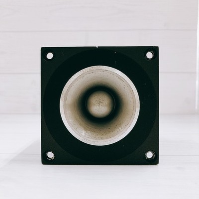 FOSTEX Pair of FT66H Horn Super Tweeter Unit Pair Speaker Driver