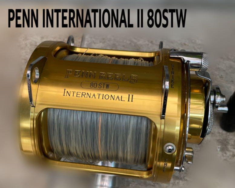 PENN International II 80STW Big Game Fishing Reel Tested Japan | eBay