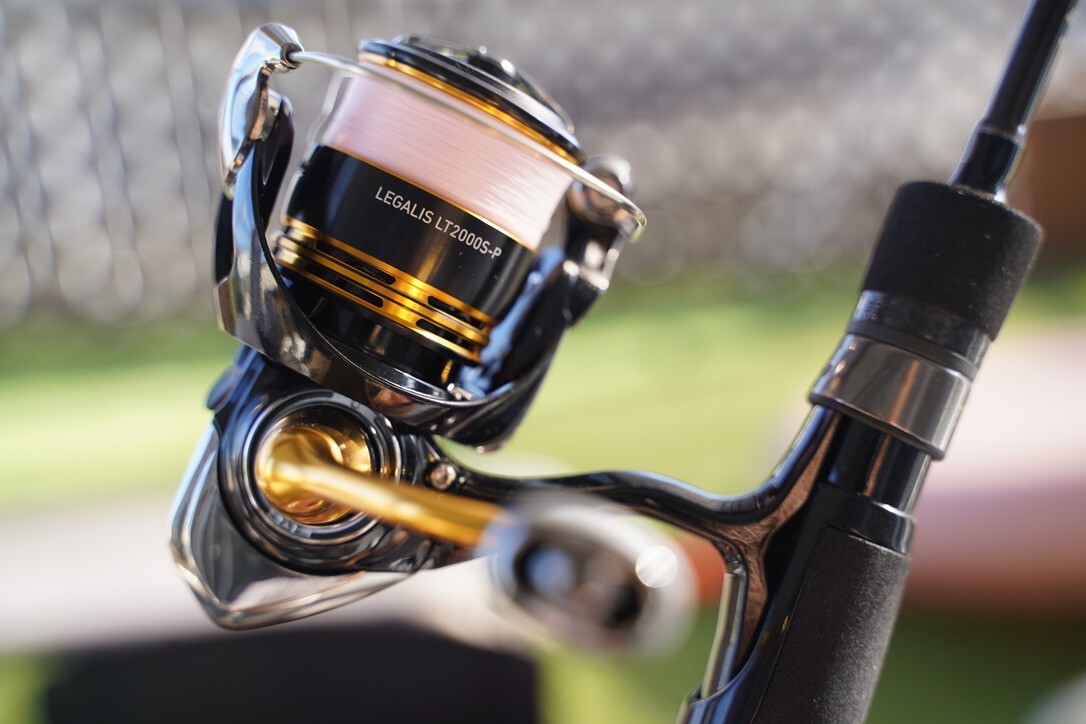 Daiwa 23 Legalis LT 2500S-XH Spinning Reel | Made in Japan | NEW