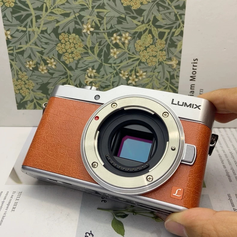 Panasonic LUMIX DC GF9 Flip Screen 4K WiFi Mirrorless Camera with