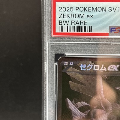 PSA 10 Zekrom ex BWR 174/086 Black Bolt sv11B Pokemon Card