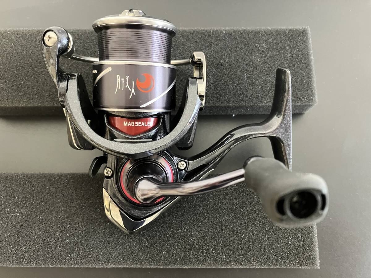Daiwa 20 GEKKABIJIN X LT 1000S-P Spinning Reel | eBay