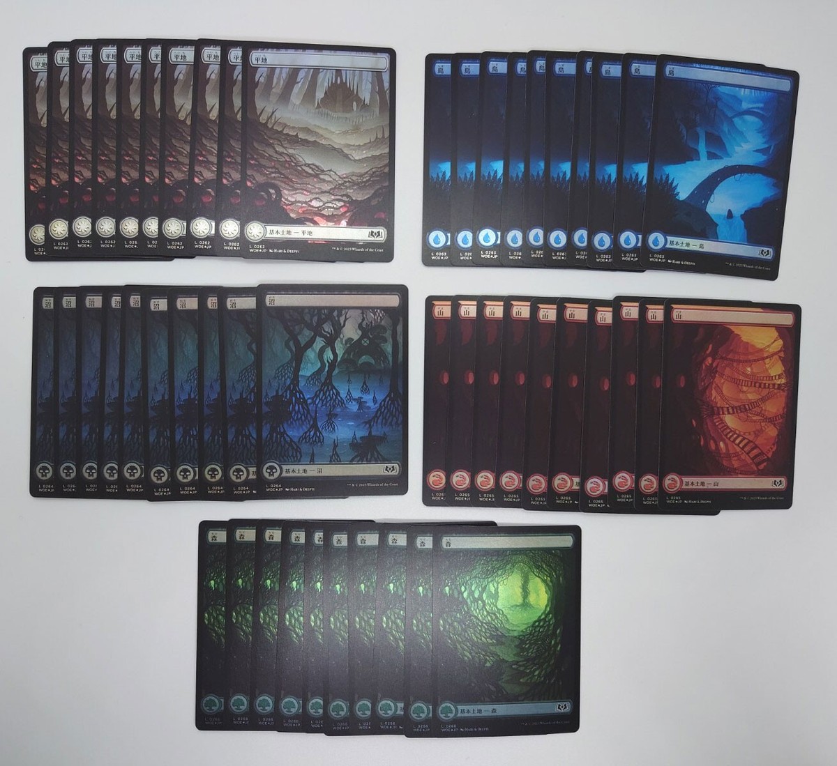 MTG Japanese Lands FOIL x50 Full Art Land Set of 10 each Wilds of