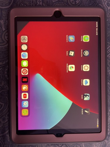 Apple iPad (5th Generation) A1823 32 GB, Wi-Fi + 4G, 9.7 in