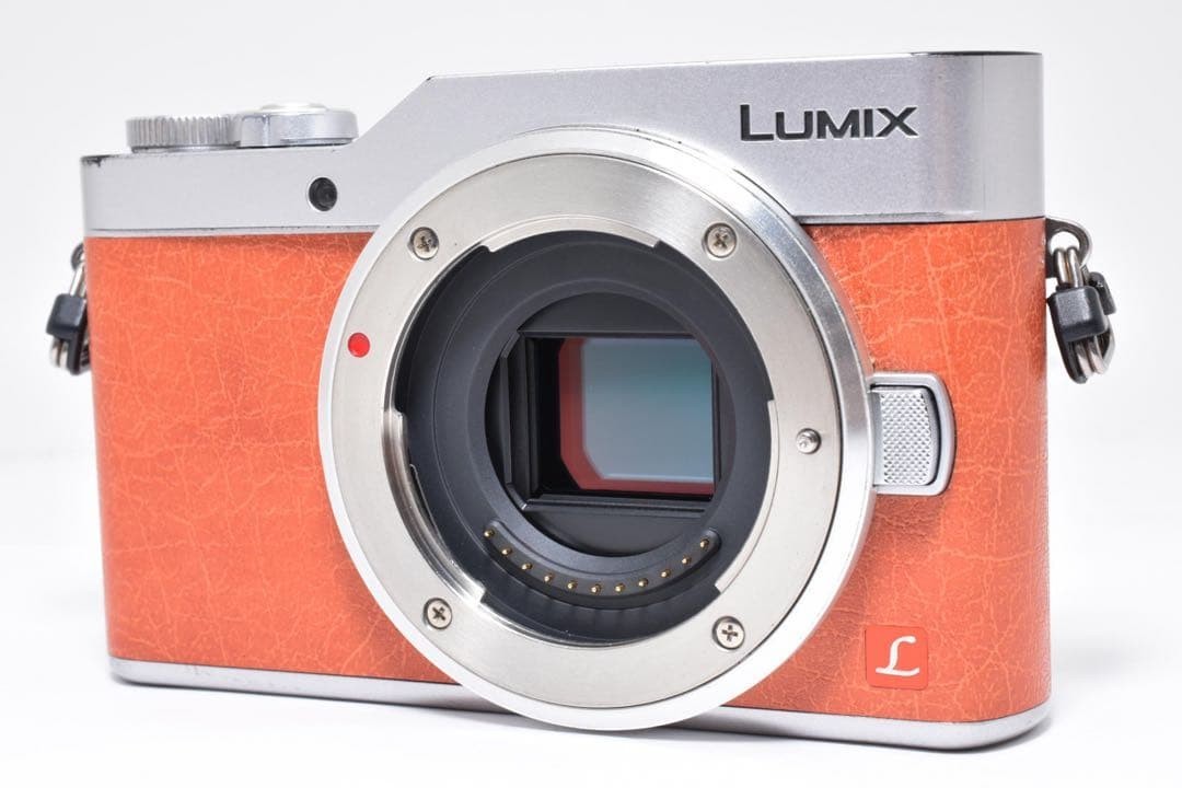 Panasonic Miralles Single-lens Camera Lumix Gf9 Double Prism Lens