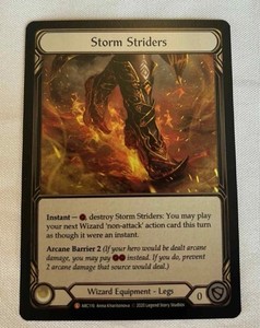 Storm Striders | eBay