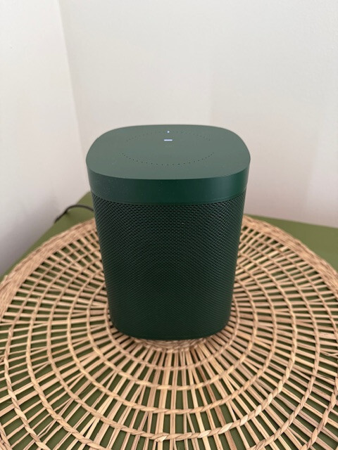 SONOS ONE HAY Limited Edition Smart Speaker - GREEN | eBay
