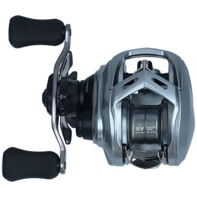 Daiwa Alphas SV TW 800S-XH Baitcasting Reel Fishing | eBay