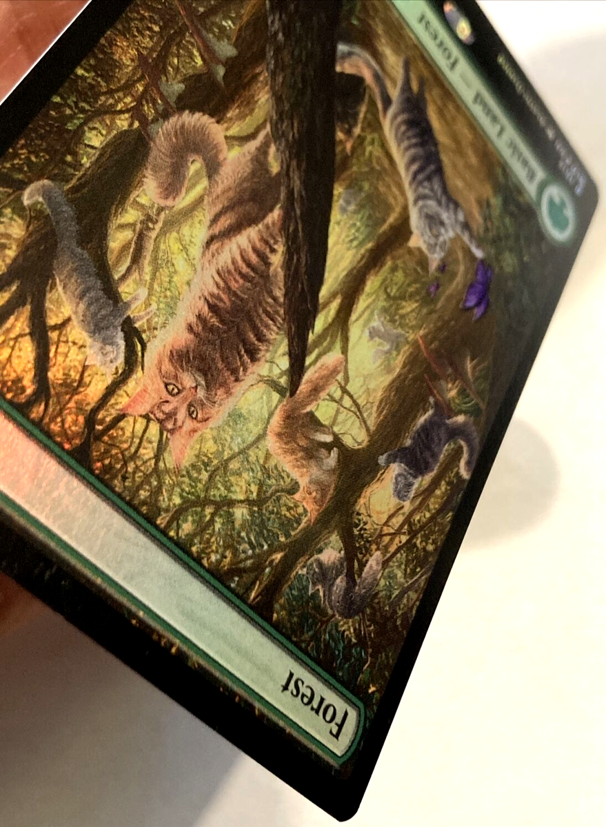 MTG Forest *FOIL* Secret Lair Drop Raining Cats and Dogs 1515 NM