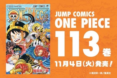 One Piece Manga Vol.113 Japanese Edition by Eiichiro Oda | 2025