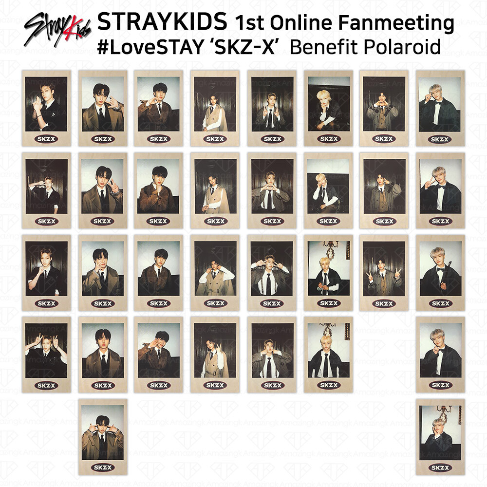 Stray Kids 1st Online Fanmeeting #LoveStay SKZ-X Benefit Polaroid