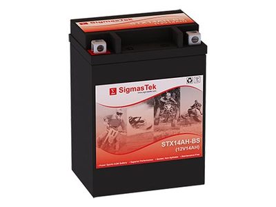 Kawasaki 300CC KLF300-C Bayou 300 4x4, 1989-2004 Battery