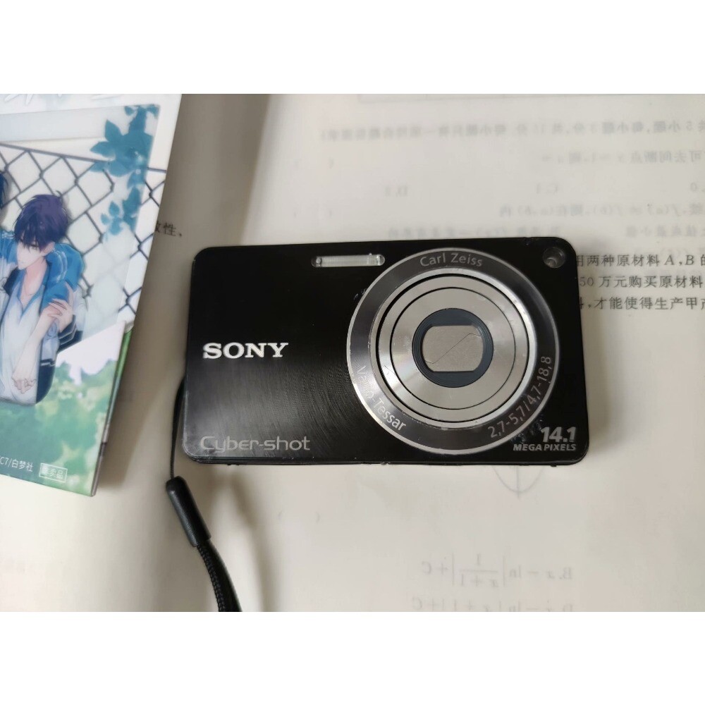 SONY Cyber-Shot DSC-W350 Digital Camera Built-in Flash Face