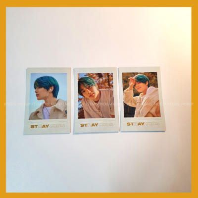 straykids unlock トレカ バンチャン ポラロイド 5枚セット straykids