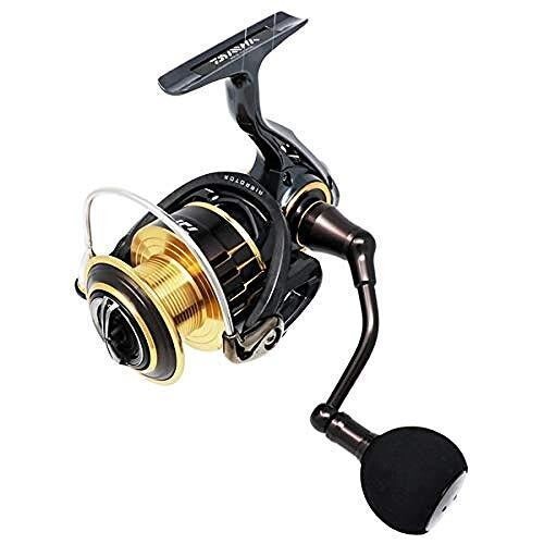 Daiwa 17 THEORY 4000 Spinning Fishing Reel | eBay