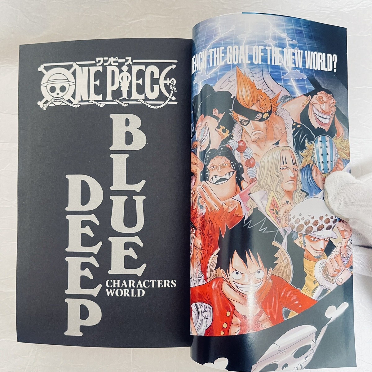 ONE PIECE BLUE DEEP CHARACTERS WORLD Character Guide Book From