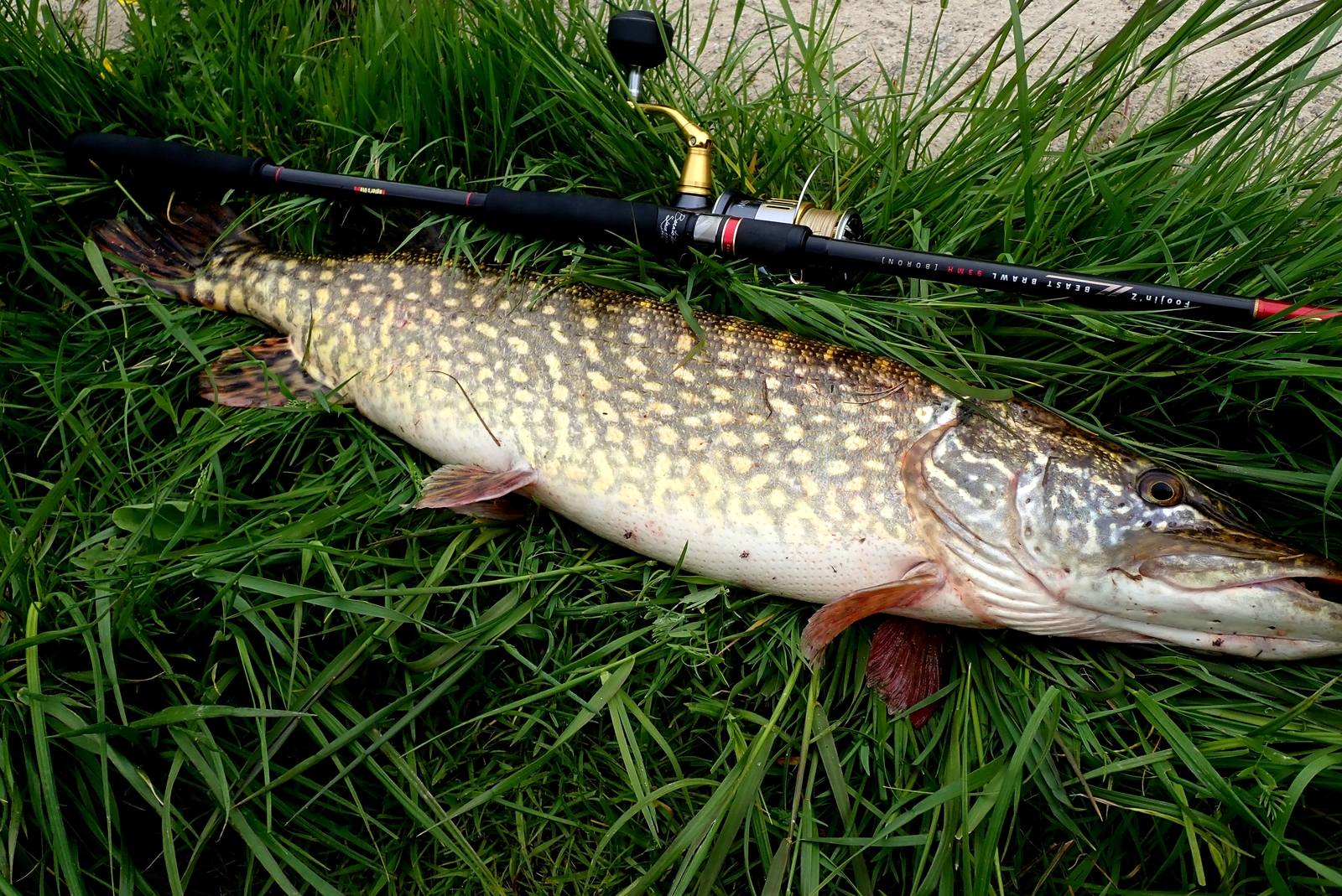 APIA Foojin Z BEAST BRAWL 93MH BORON Spinning Rod | eBay