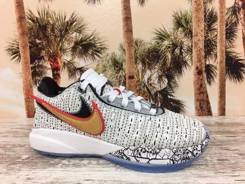 Nike LeBron XX 20 Debut Basketball White DJ5423-100 Size 4