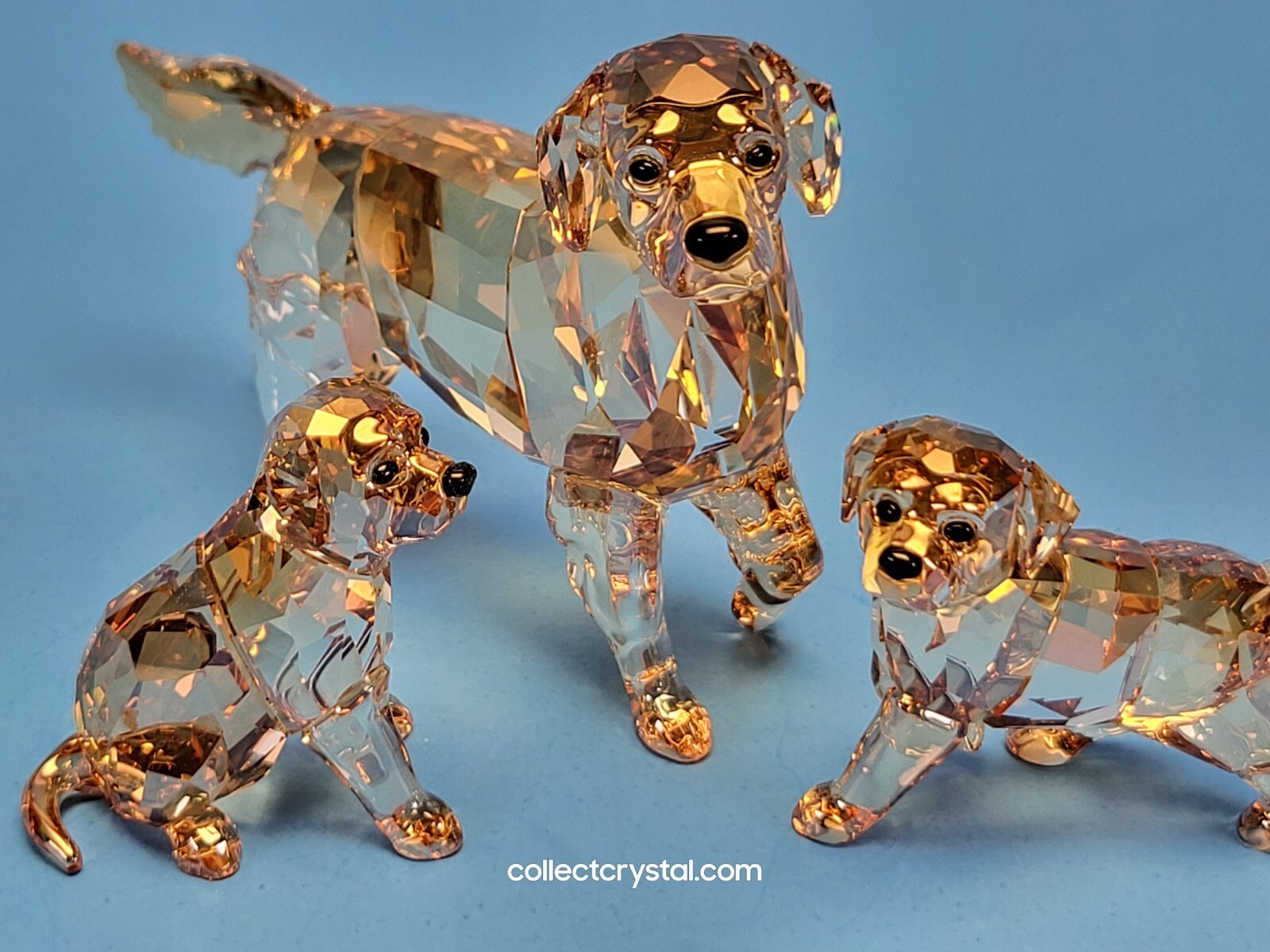 Swarovski Golden Retriever Mother Dog and PUP 1142823 24 & 25 MIB