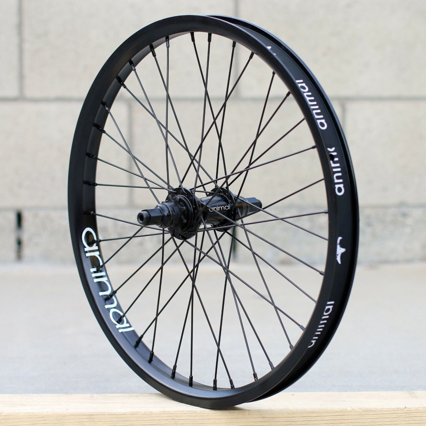 $_57.JPG?set_id=8800005007