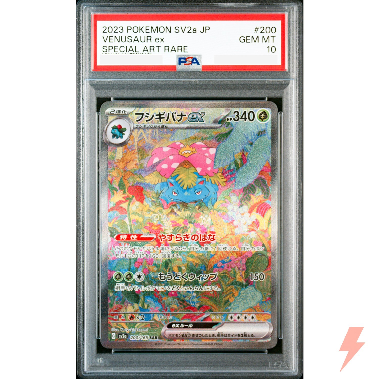 $_57.JPG?set_id=880000500F