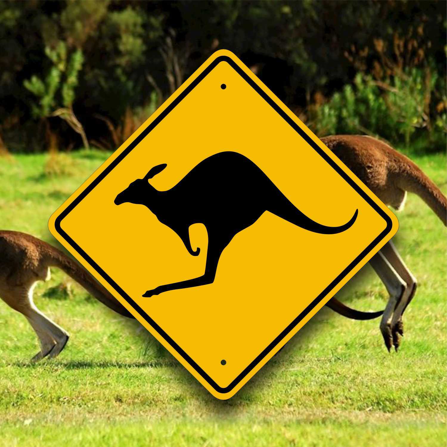 Kangaroo Crossing - Outback Warning Placard - Australia Road Sign