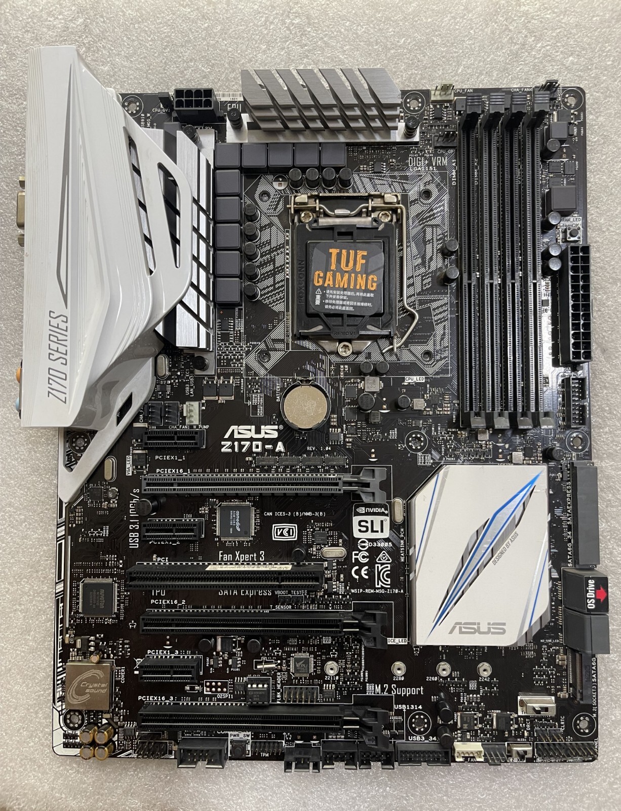 $_57.JPG?set_id=880000500F