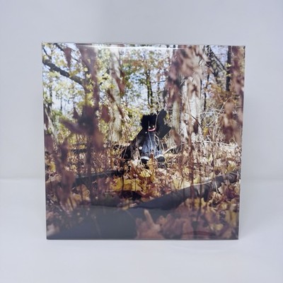 billy woods - GOLLIWOG HHV Exclusive Black in Red Blood Vinyl