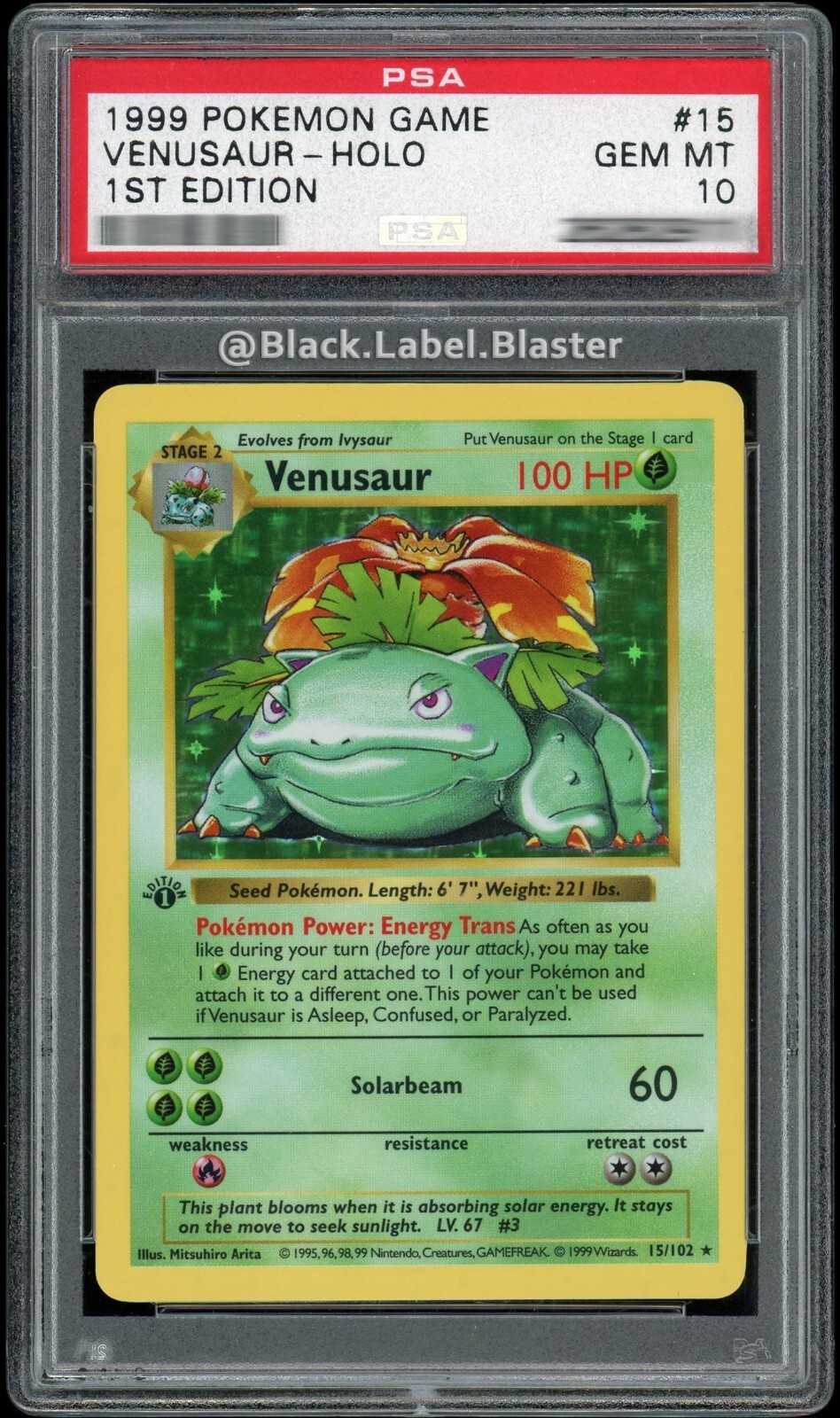 1999 Pokemon Base Set Venusaur 1st Edition Shadowless Holo #15