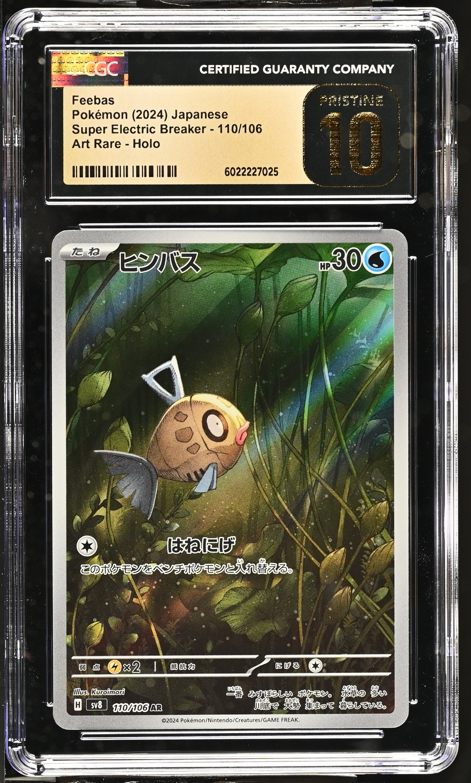 ポケモンカード Cottonee Feebas 2枚セット PSA10 2024 Feebas PSA 10