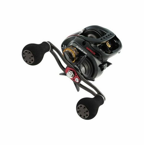 Daiwa STEEZ A II TW 1000XHL Baitcasting Reel | eBay