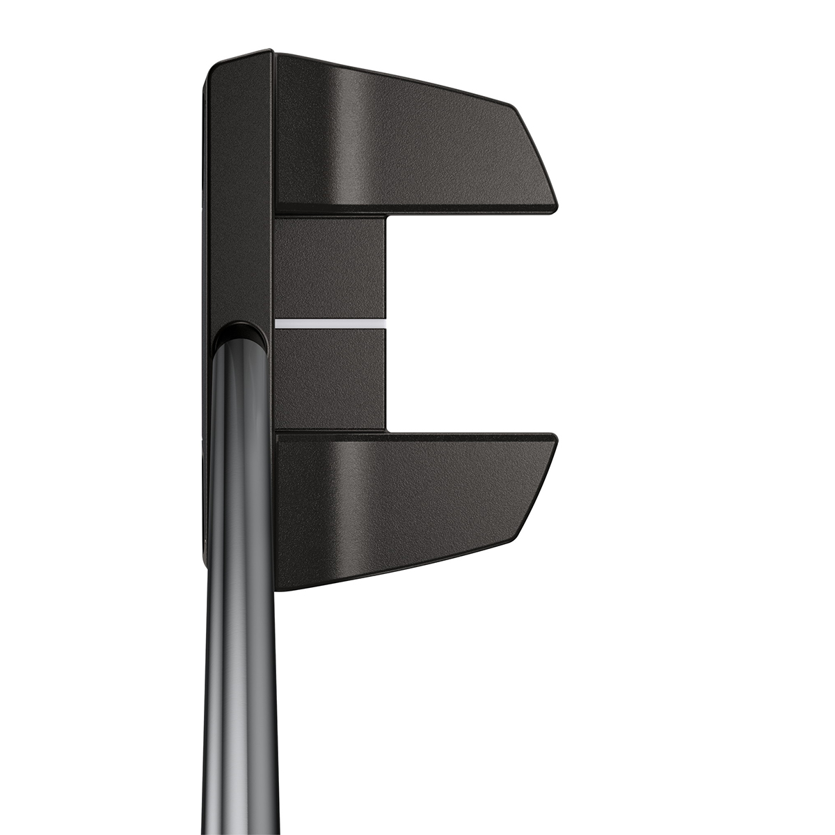 ピン 2021 タインC パターの試打レビュー 口コミ・評価 ギアスペック