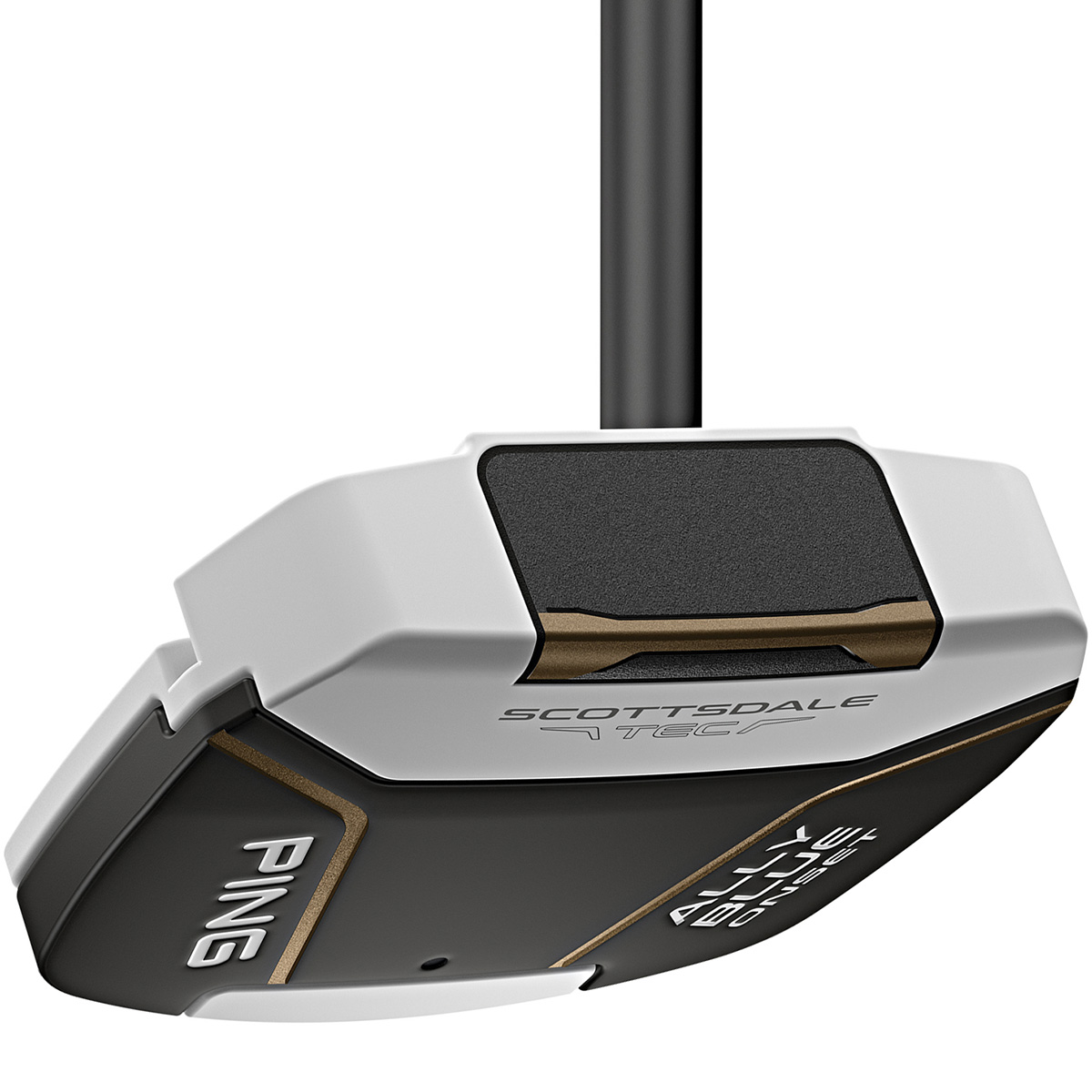 ピン 2023 DS 72 C パターの試打レビュー 口コミ・評価 ギアスペック