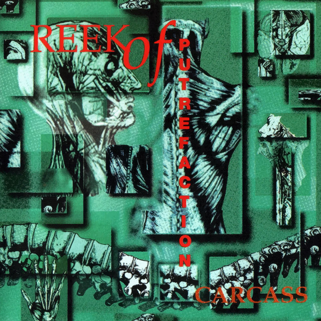 Reek of Putrefaction - Album by Carcass | Spotify