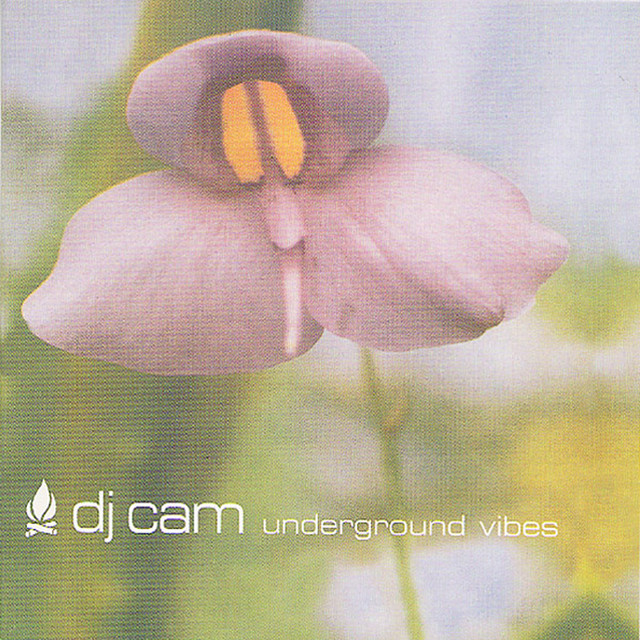 Underground Vibes - Album by DJ Cam | Spotify