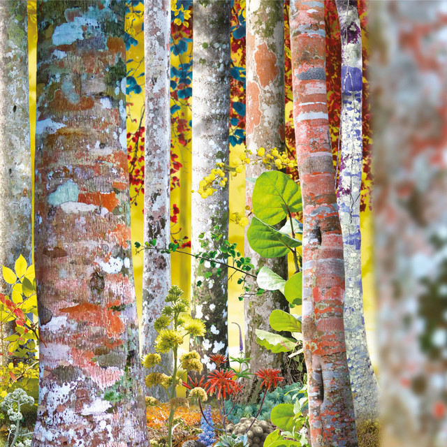 Do You Know Me Now? – The Samadhisound Box Set - Album by David