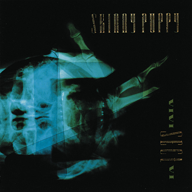 VIVI SECT VI - Album by Skinny Puppy | Spotify