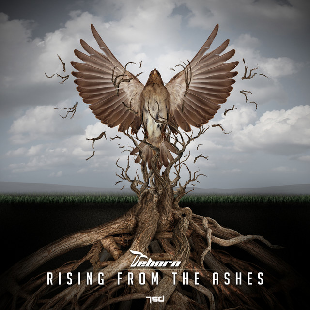Rising From The Ashes - song and lyrics by Reborn | Spotify